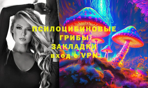 дживик Аркадак